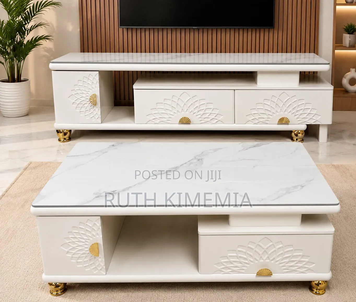Coffee Table Plus TV Stand