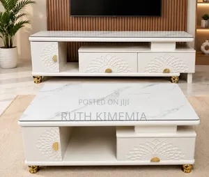 Coffee Table Plus TV Stand