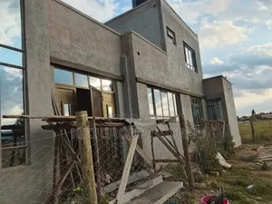 Design and Build Services