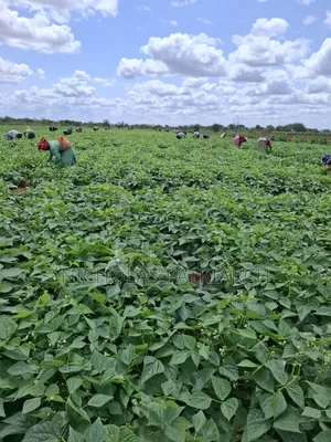 45 Acres Farm Kiboko -Mombasa Road Selling at 92m
