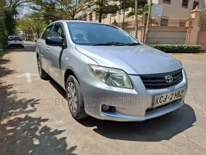 Toyota Axio 2009 Silver