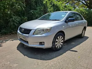 Toyota Axio 2009 Silver