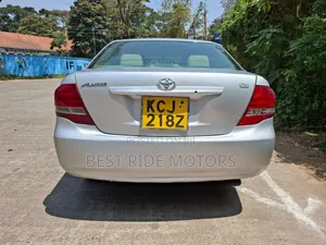 Toyota Axio 2009 Silver
