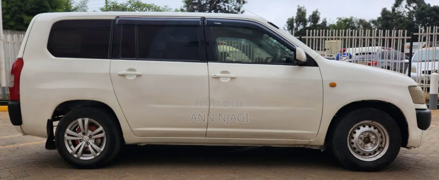 Toyota Probox 2010 Pearl