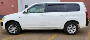 Toyota Probox 2010 Pearl