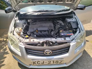 Toyota Axio 2009 Silver