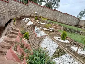 Cleaning and Landscaping