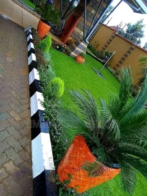 Cleaning and Landscaping