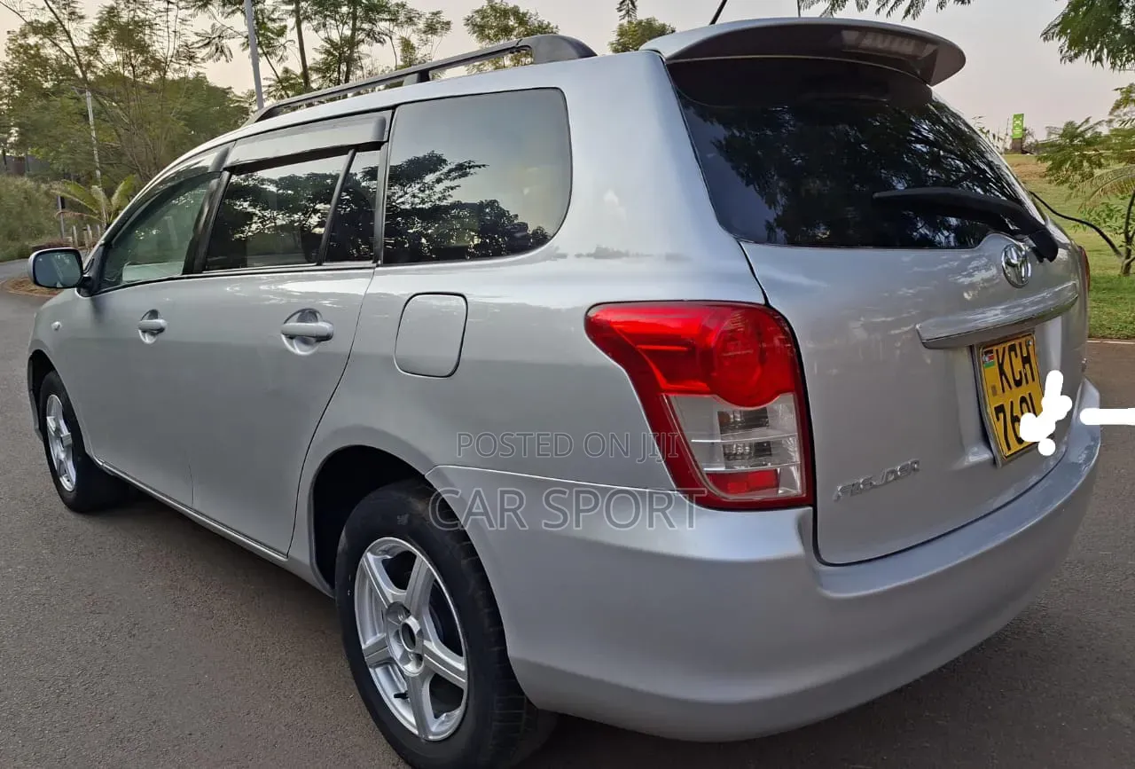 Toyota Corolla Fielder 2009 Silver