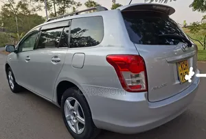 Toyota Corolla Fielder 2009 Silver