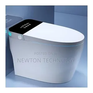 Bolesi Smart Toilet