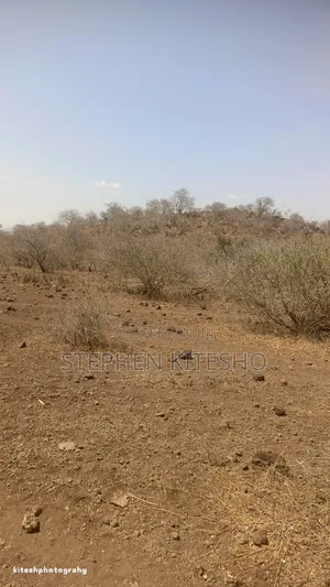 10acres for Sale Imbrrikani Loitoktok