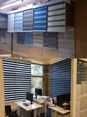 Modern Zebra Roller Blinds Horizontal Office Curtains