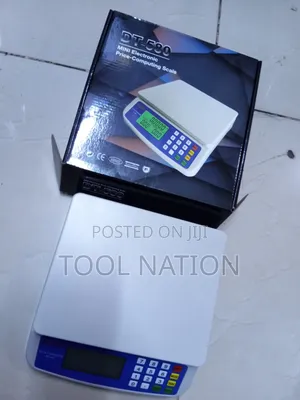 DT_580 Computing Scale