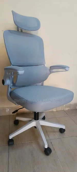Grey Ergonomic Chair