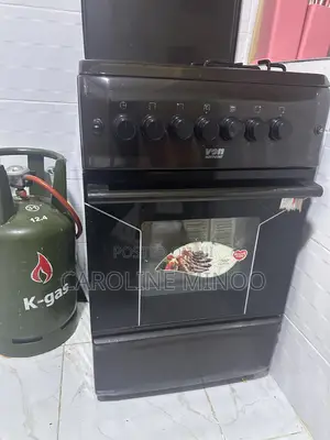 Cooker and Gas