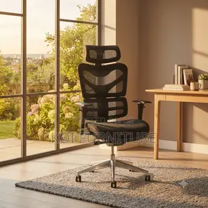 Office Chair; Orthopedic High Back SSDX Chairs
