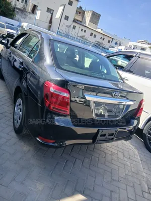 Toyota Axio 2019 Black