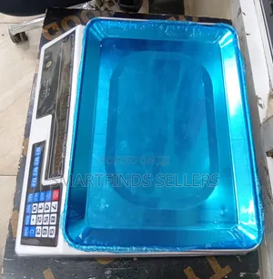 Electronic Price Computing Scale With LCD Display