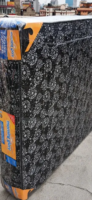 Morning Glory 4×6 Everyday Comfort Mattress- 8 Inches, Non Sink
