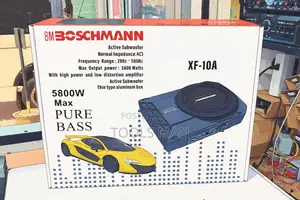 Boschmann 5800W Underseat Active Pure Bass Car Audio Subwoofer XF-10A