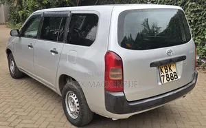 Toyota Probox 2002 Silver