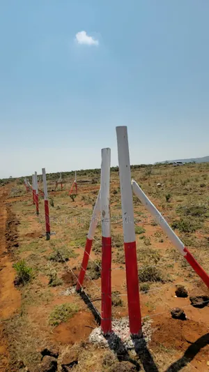 100*100 Plots in Nachu