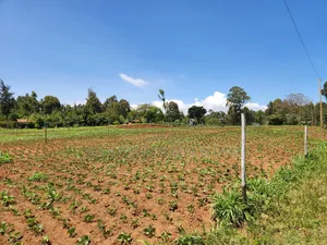 Residential Plots in Chungamali, Mirithu