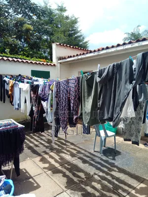 Professional Laundry and Dry Cleaning Services in USIU