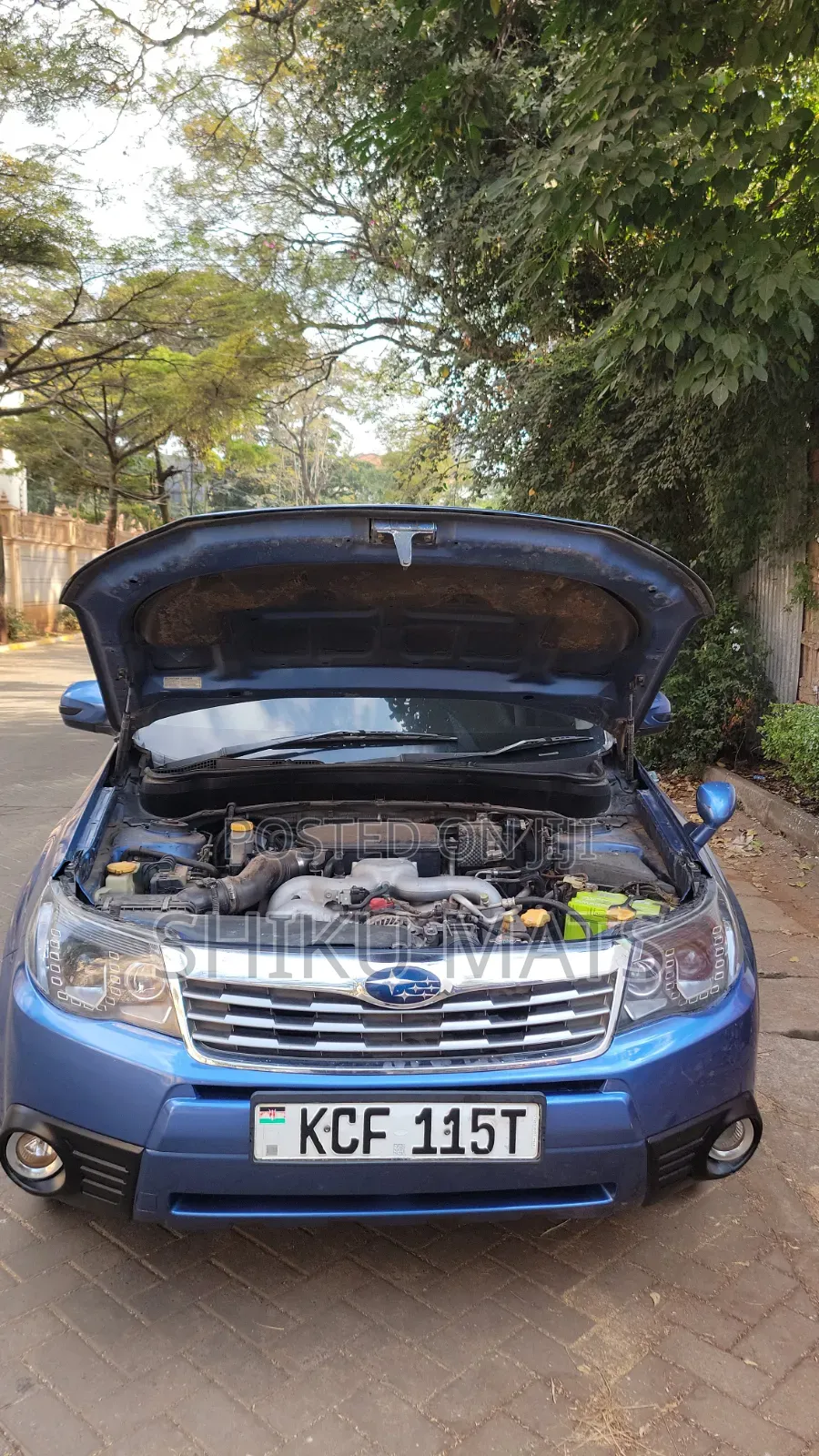 Subaru Forester 2008 Blue