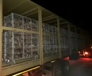 Fresh Chickens for Sale