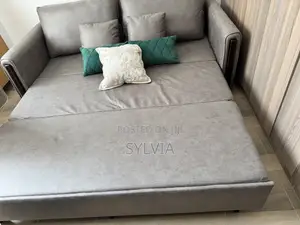 Luxury Pull Out Sofa Bed