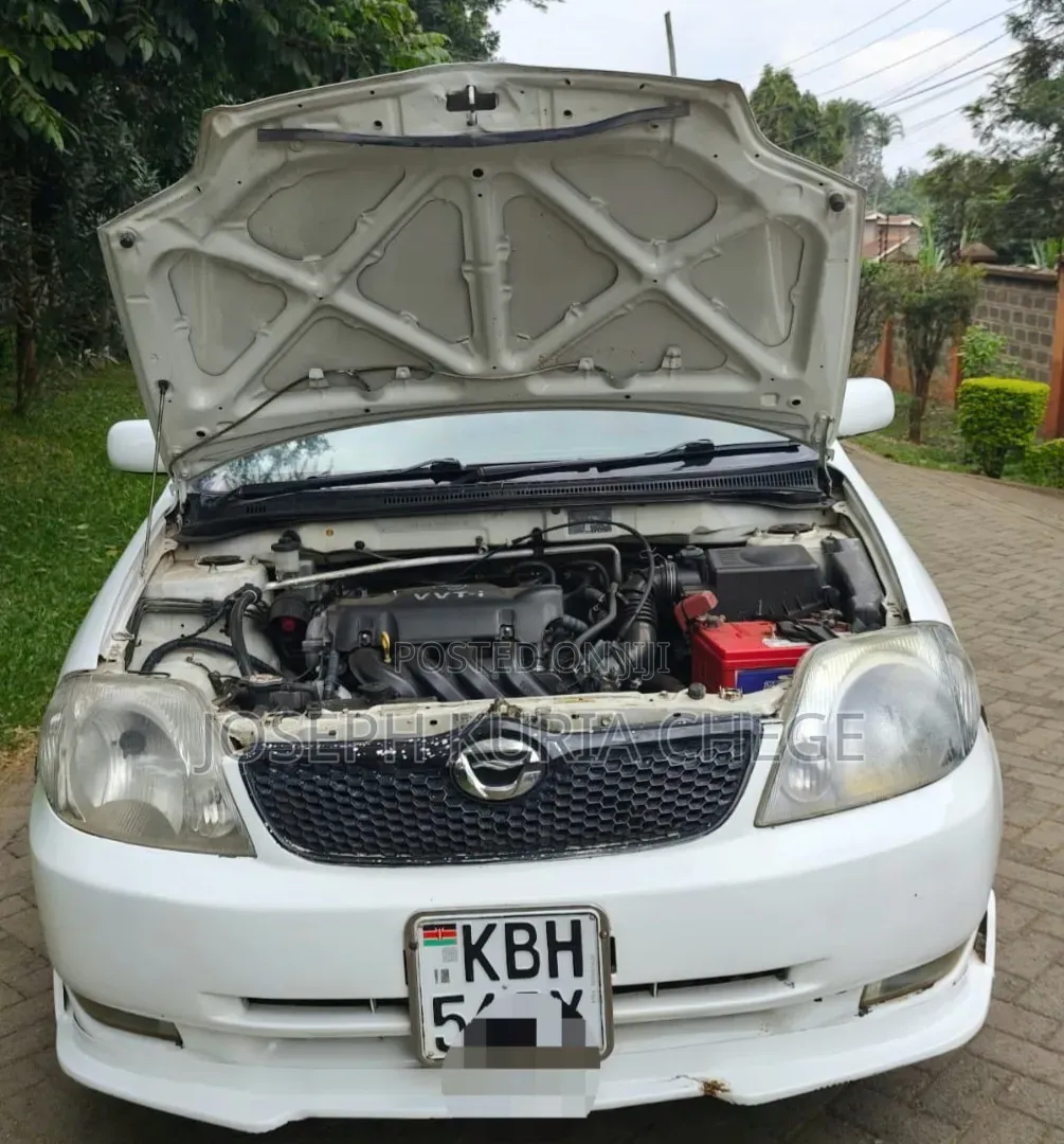 Toyota Corolla RunX 2003 White
