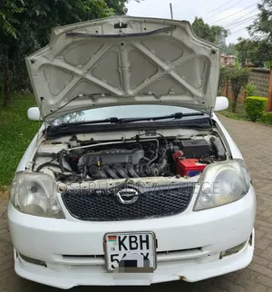 Toyota Corolla RunX 2003 White