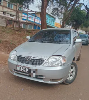 Toyota Corolla RunX 2003 Silver