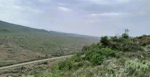 5 Acres in Nachu,Nduini