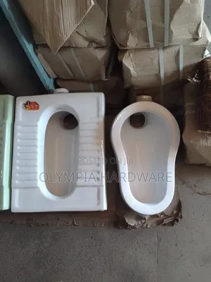 Stepping Asian Toilet