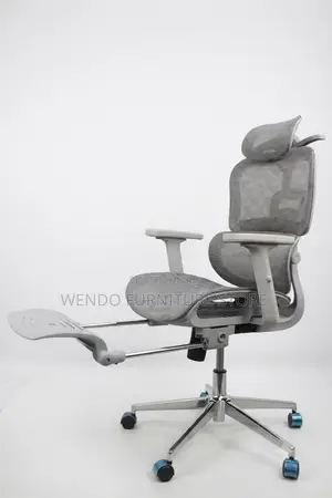 Office Chairs; Orthopedic Reclining Footrest Office Chairs