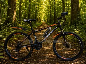 Size 26" Bike Disc Brakes 21 Speed Gear