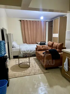 Furnished Studio Apartment in Musindi Road, Ngara for rent
