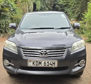 Toyota Vanguard 2010 Gray