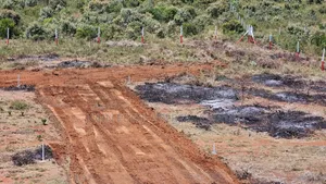 Nachu, Kikuyu Plots
