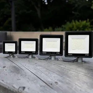 Wide Beam Security Lamp 200W,100W,50W,30W AC Electric LED Flood Light
