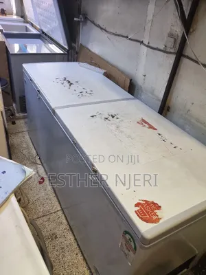 650litres Double Door Deep Freezer