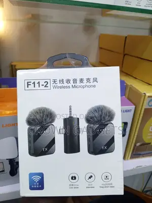 F11-2 Professional Wireless Audio System With Dual Mics