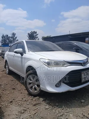 Toyota Axio 2015 Black