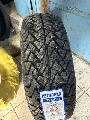 225/65r17 Petromax
