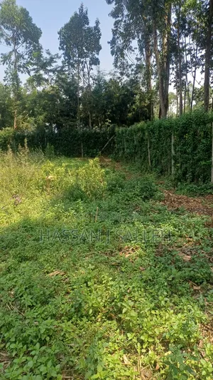 60 X100fts PLOT EKERO.