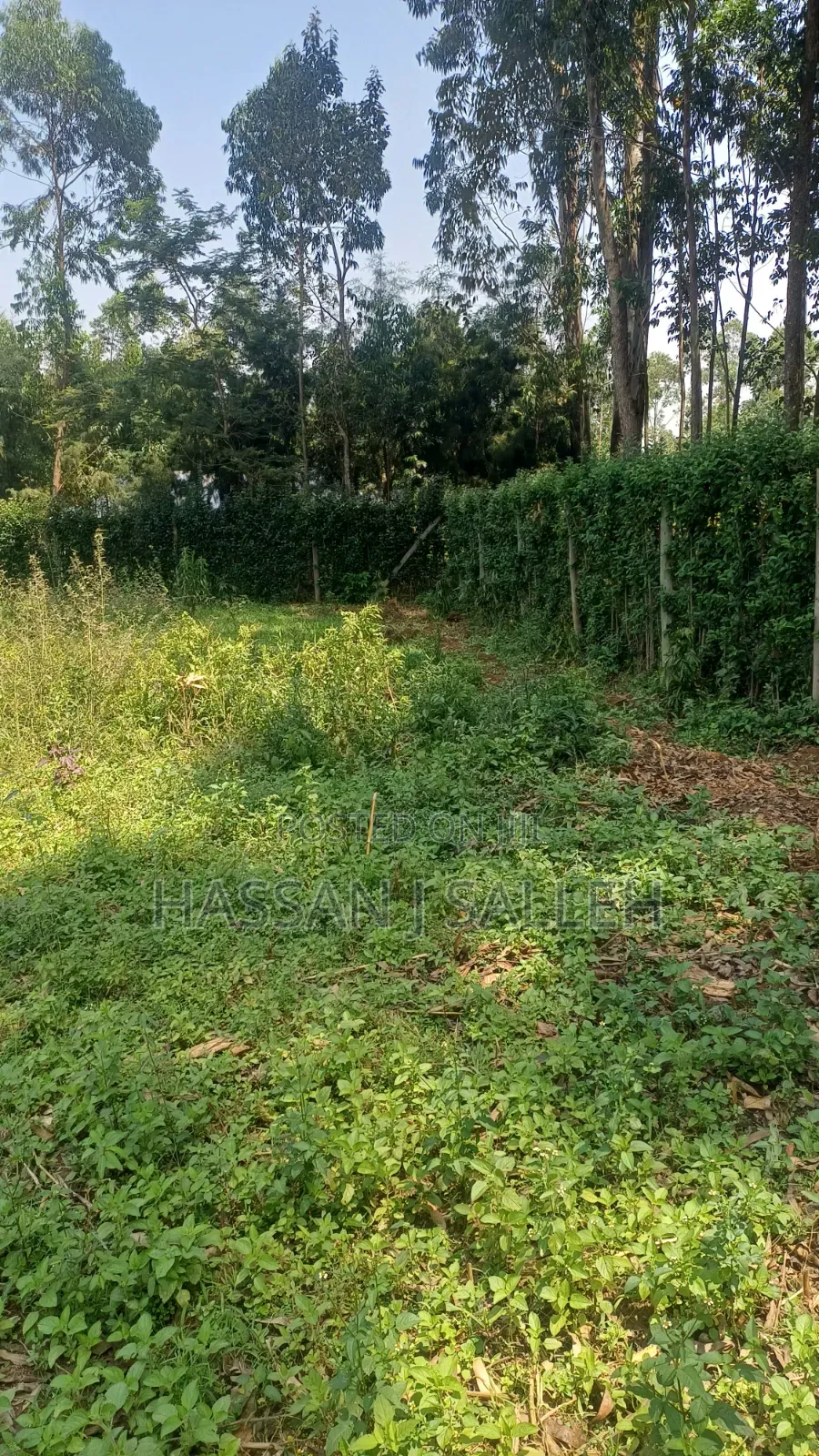 60 X100fts PLOT EKERO.