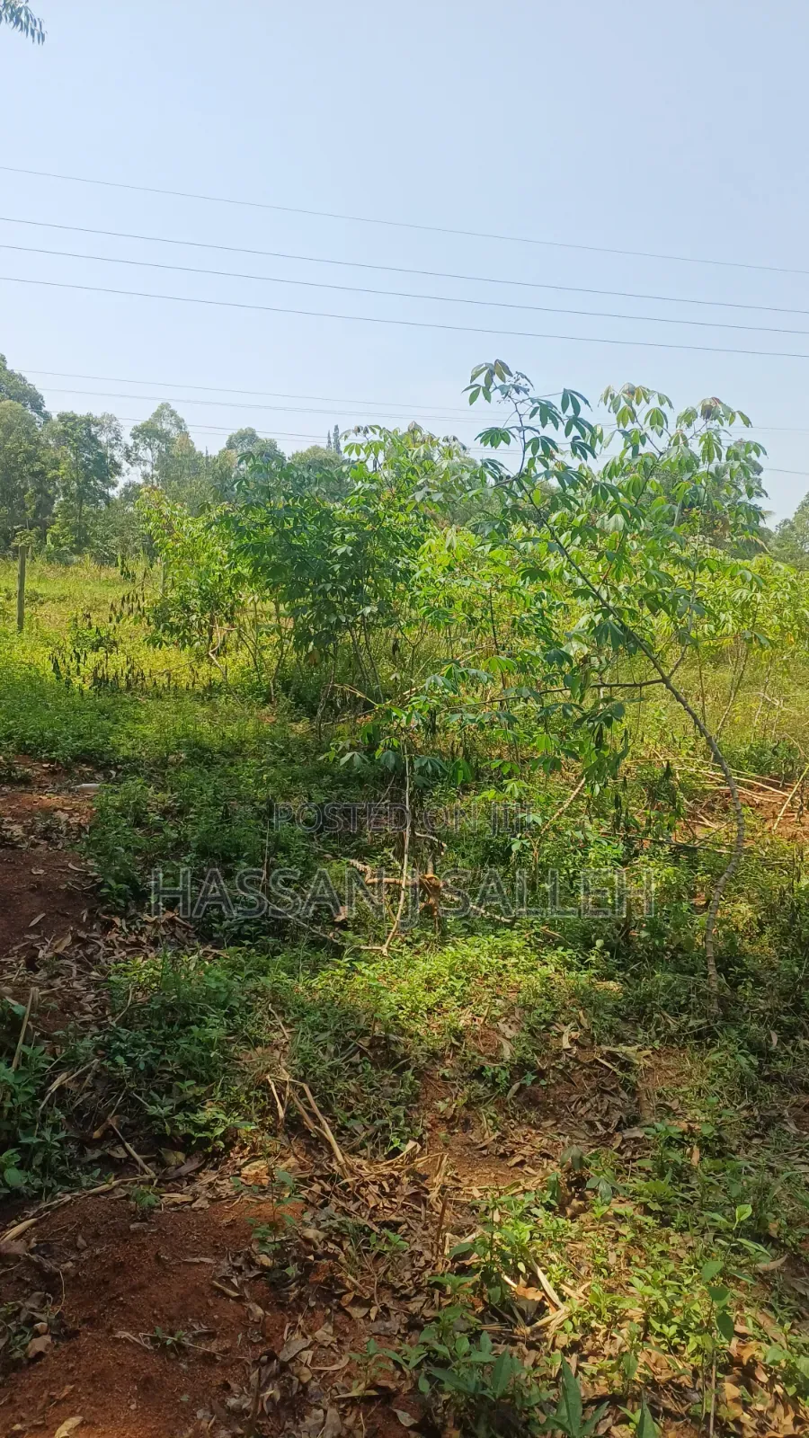 60 X100fts PLOT EKERO.